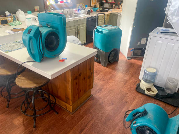 Best Residential water damage restoration  in Chamblee, GA