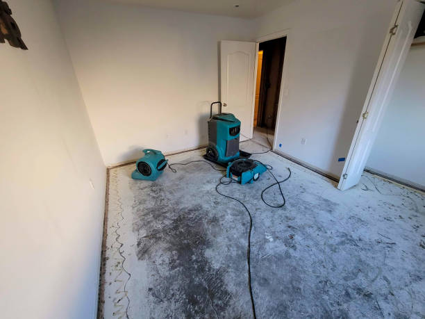 Best Carpet water damage restoration  in Chamblee, GA