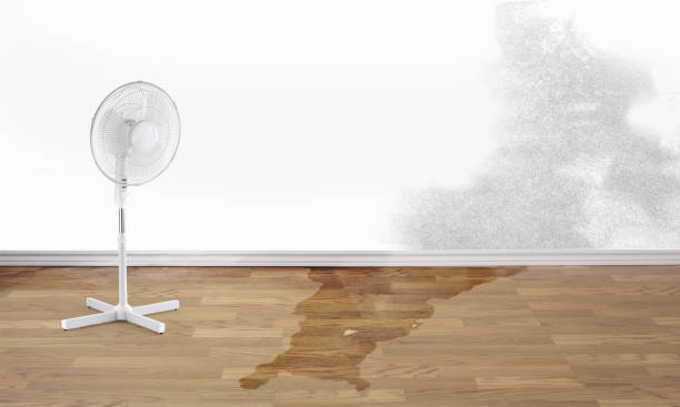 Best Flood damage cleanup  in Chamblee, GA