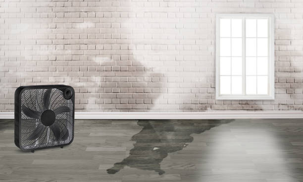 Water damage restoration process in GA