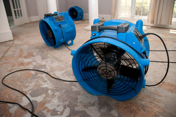 Best Mold removal after water damage  in Chamblee, GA