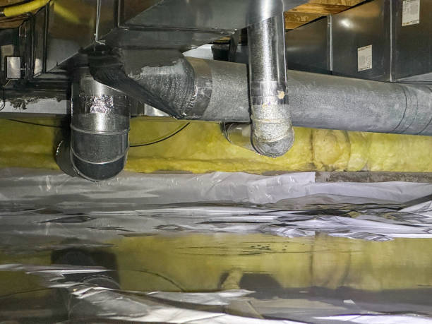 Best Professional water damage repair  in Chamblee, GA