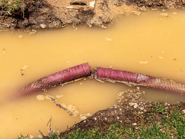 Trusted GA Water damage restoration Experts