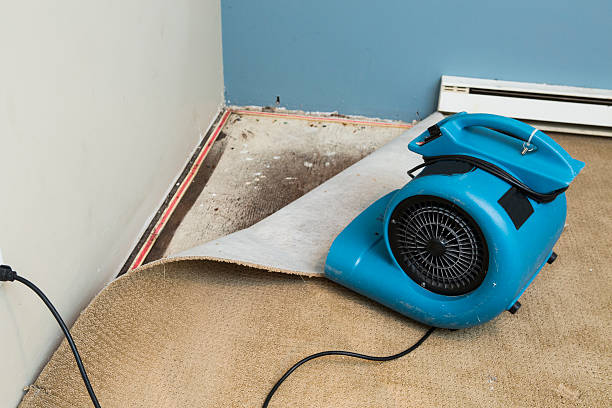 Best Carpet water damage restoration  in Chamblee, GA